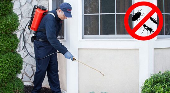 Kozluk Gümüşkurt İlaçlama böcek ilaçlama ve haşere kontrolü — ilaclama-tr.com
